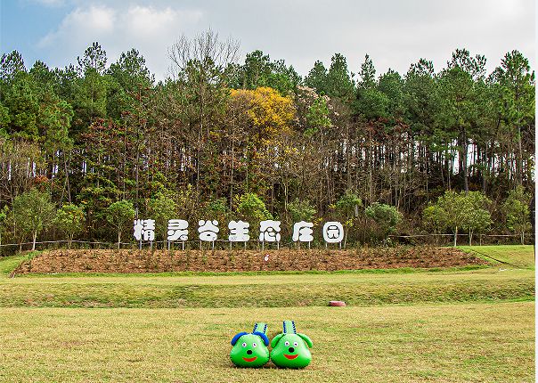 滁州这份儿童节活动预告请查收！棋牌@大小朋友们“趣”过六一(图1)